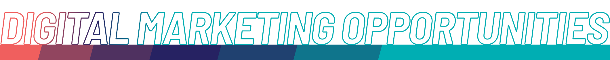 Digital Marketing Opportunities